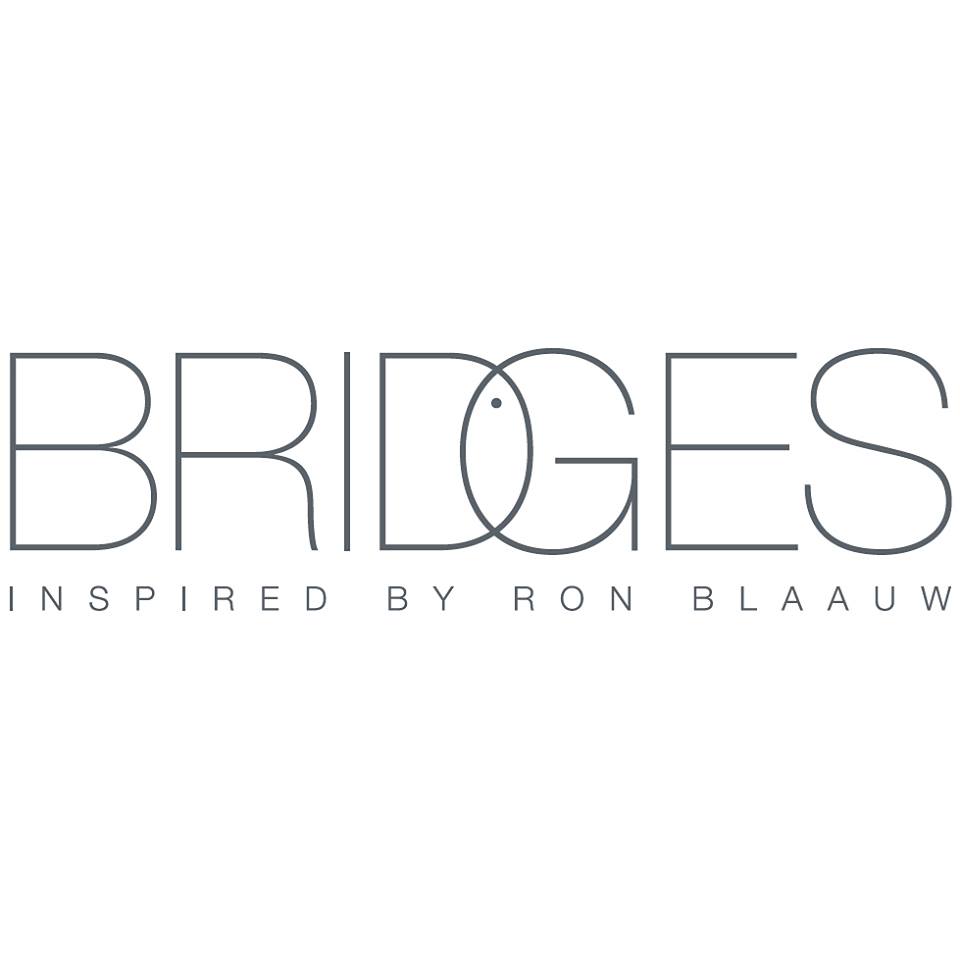 Bridges inspired by Ron Blaauw