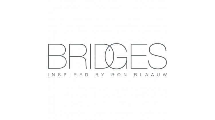 Bridges inspired by Ron Blaauw